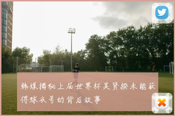 韩媒揭秘上届世界杯吴贤揆未能获得球衣号的背后故事