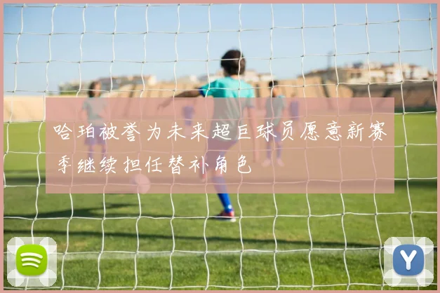 哈珀被誉为未来超巨球员愿意新赛季继续担任替补角色