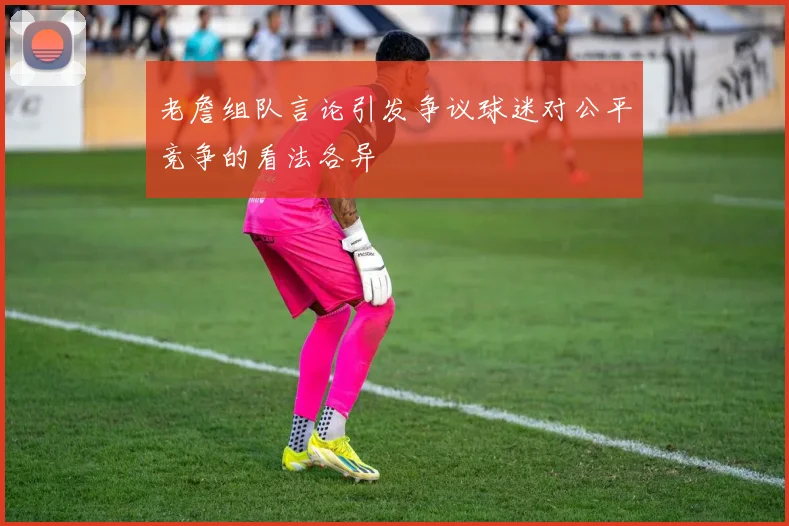 老詹组队言论引发争议球迷对公平竞争的看法各异