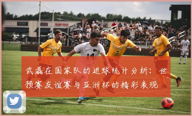 武磊在国家队的进球统计分析：世预赛友谊赛与亚洲杯的精彩表现