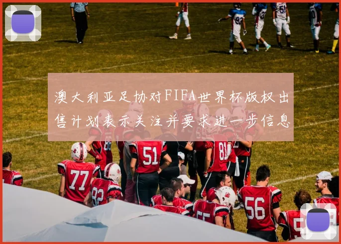 澳大利亚足协对FIFA世界杯版权出售计划表示关注并要求进一步信息