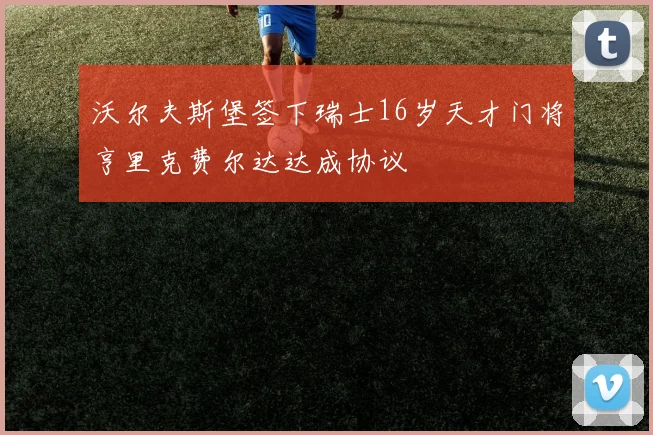 沃尔夫斯堡签下瑞士16岁天才门将亨里克费尔达达成协议